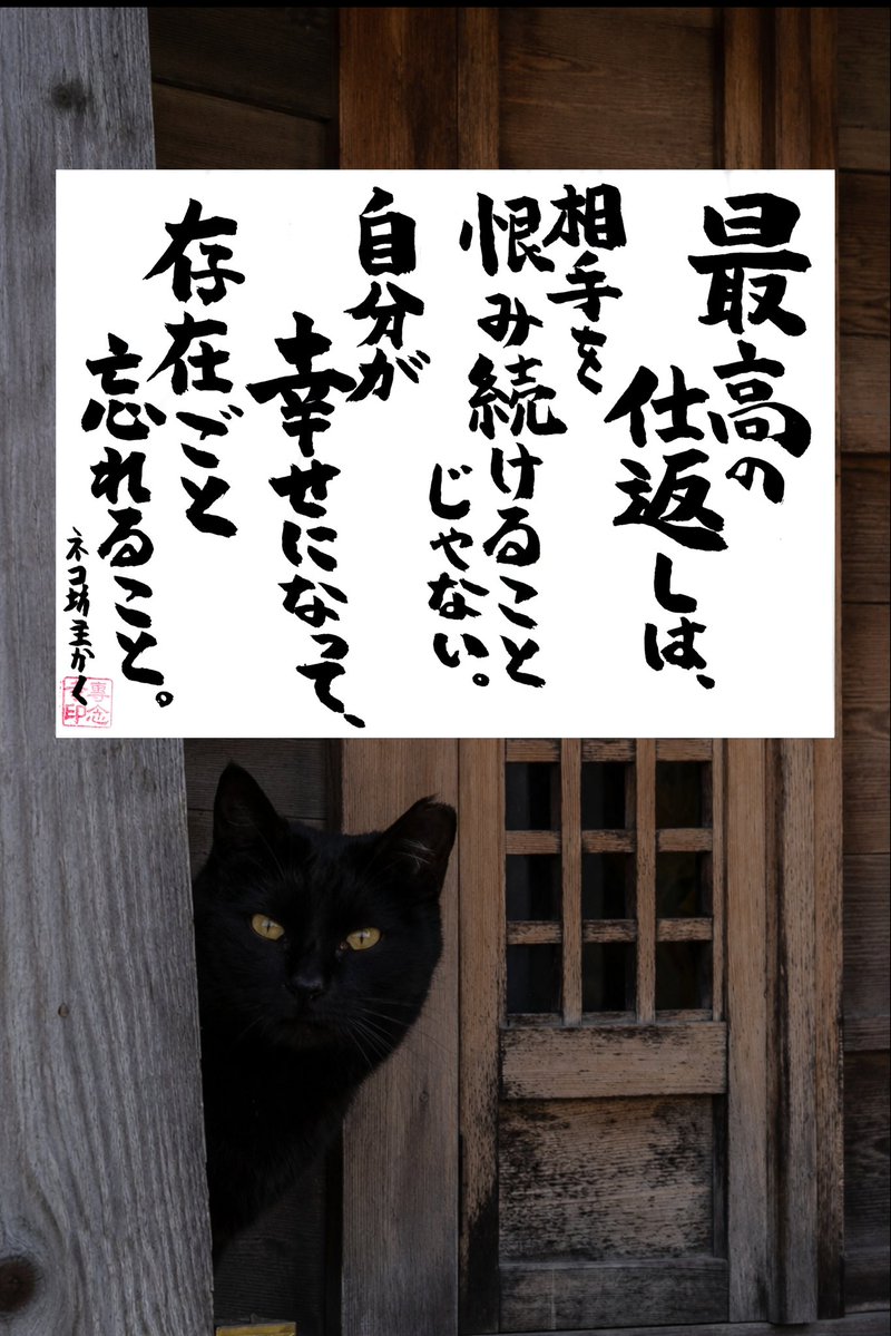 yabumoto610's tweet photo. ネコさんから人間さんへ今日の一言 https://t.co/VdZB0R2AxF
