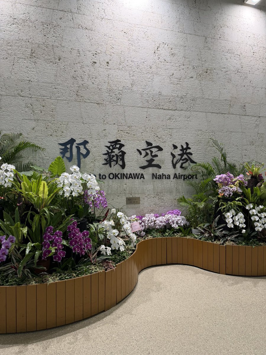 mimiko33ko's tweet photo. 仕事と社員旅行を兼ねて沖縄🌺

まだ梅雨明けてないからほぼ雨🫣 https://t.co/OPNfuSZxTo