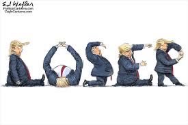 Ann1eBug's tweet photo. @FoxNews Ok,  JCOA contract written under President Obama’s term in office was hundreds of pages long.  A Contract ! Trump’s watered down “memorandum” is a page and a half ?  😂😂😂😂😂
The American people are not stupid !  Trump continues to be a fucking embarrassment  ! https://t.co/5mfqBZFFIZ