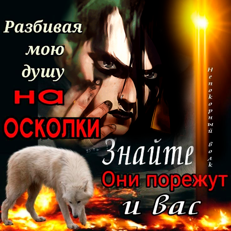 cimp1e's tweet photo. где арка где Вай постит волчьи цитаты после разрыва с Кейтлин https://t.co/chQexSqLsK