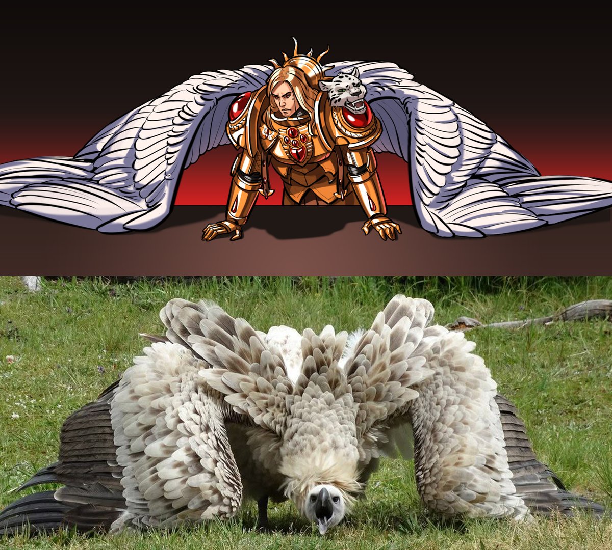 olga_gildhartt's tweet photo. Oh no, you've angered #Sanguinius! Found this sick bird on pinterest, had to do a quick redraw. https://t.co/kwgMVNSvtn