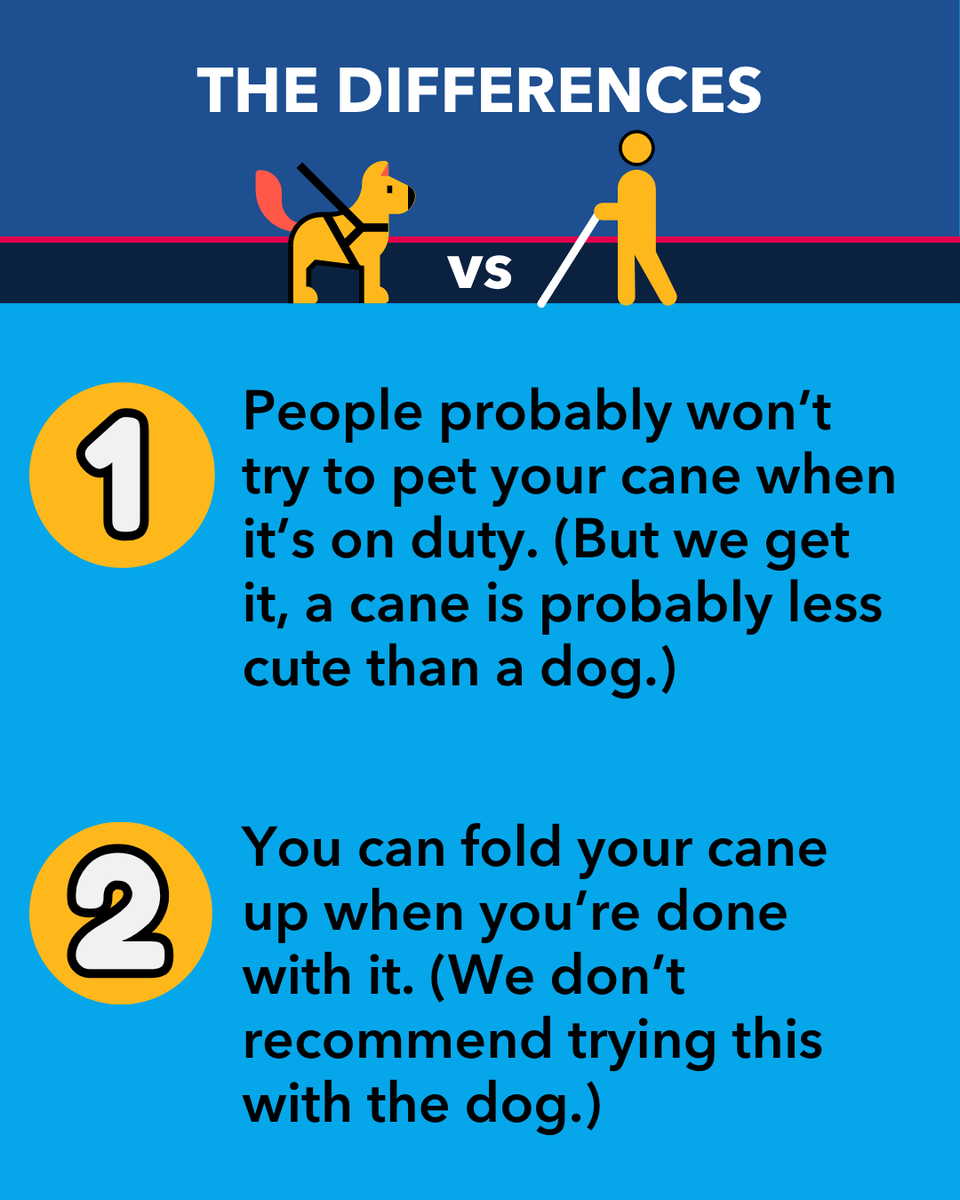#GuideDog or #WhiteCane: both are powerful tools that help people navigate the #BlindNewWorld safely and with confidence. 

But what are the differences that people don't talk about? We dove deep with our friends at @PerkinsVision. ⬇️