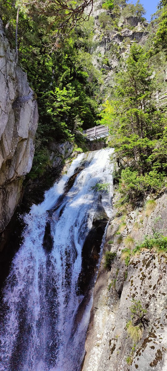 TheFreeGeekette's tweet photo. 15.06.2026 Les Granges sur Salvan - Gorges du Dailley - Auberge du Vallon de Van - Retour par col de la Matze
Cette balade est un vrai plaisir des sens
Des produits locaux, un service très sympa et une carte entre tradition et nouveautés
#petitsbonheurs #randonnée #valais #salvan https://t.co/g7AOxuzM1b