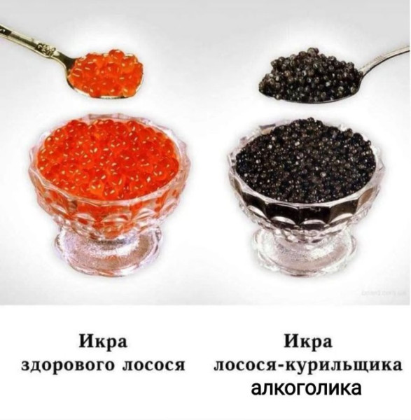 Ellienoise2's tweet photo. МИНЗДРАВ ПРЕЖУПРЕЖДАЕТ https://t.co/ARmMCLt0fB