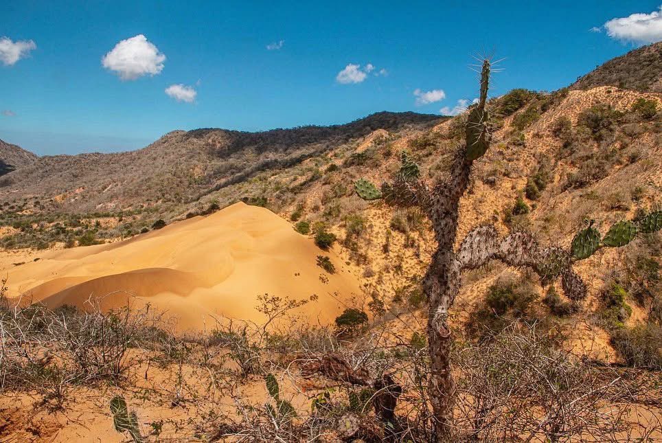 alejocalder0n's tweet photo. Serranía de la Macuira, Alta Guajira, Colombia. https://t.co/MzFDKfHECf