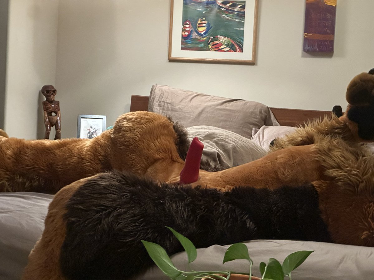 KrashHuskyAD's tweet photo. Lazy lounging….wanna take a seat on me? https://t.co/f5LjSQkEoI