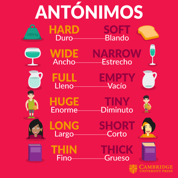 regalitosw's tweet photo. Nadie te enseñó esto en el colegio y se nota.

Un mapa de antónimos que usas en 2 minutos y hablas diferente hoy mismo 👇 https://t.co/2a21tG3AMe
