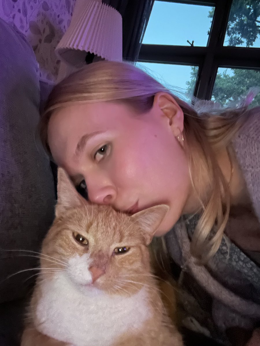 elmacreates's tweet photo. @Forsen Bor i Malmö med två supersnälla och söta katter. Vi välkomnar gärna en till! 🫡 https://t.co/Sy4GRY8cMu