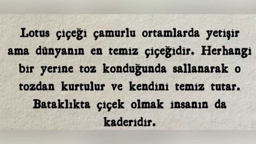 xmentalactivity's tweet photo. Okuduğum en güzel yazılardan.. https://t.co/ItPOMtd2rH