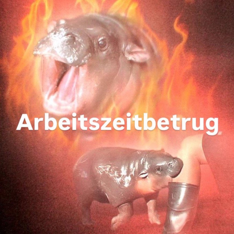 schellenmira's tweet photo. https://t.co/HEC8sUTf06