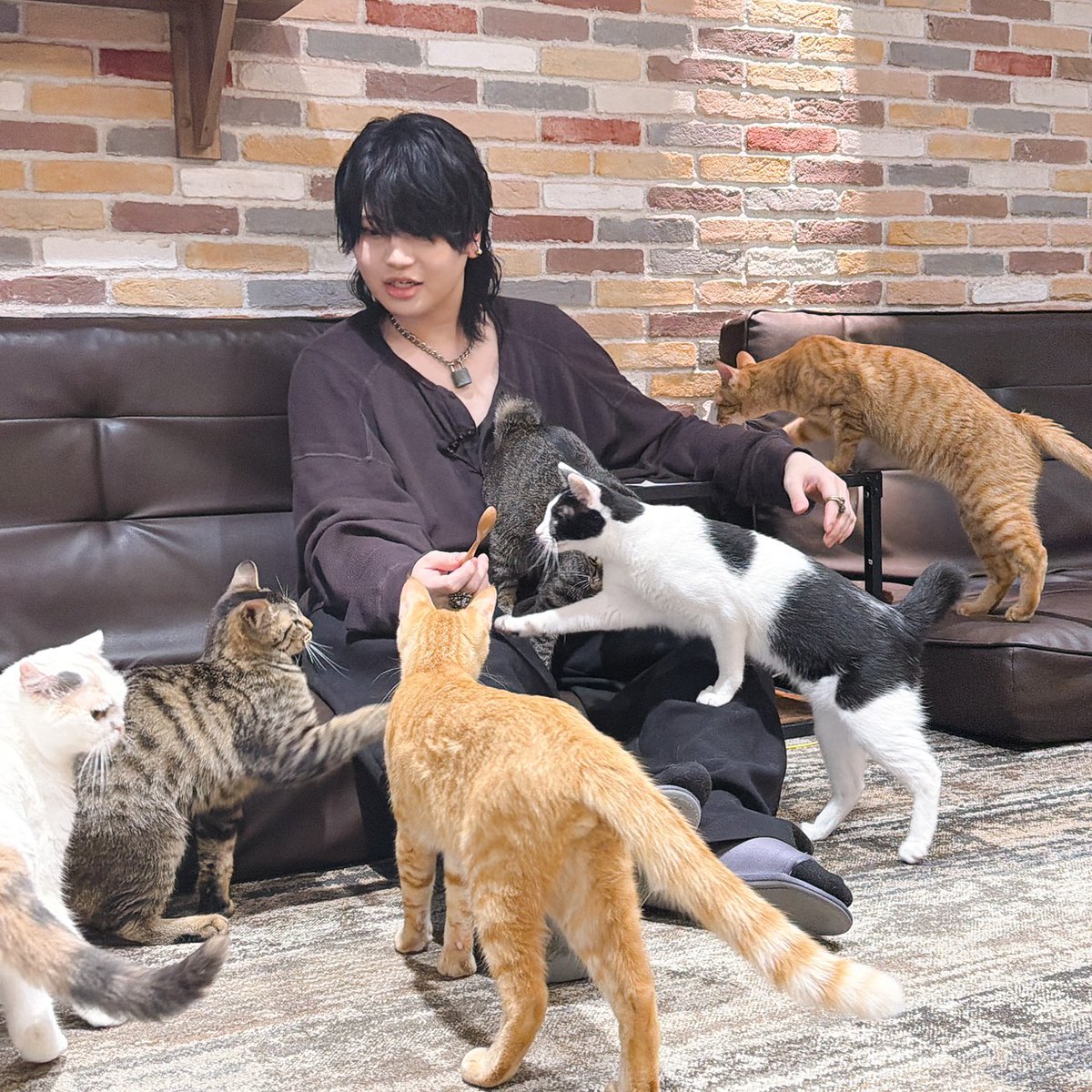 DojimaNight's tweet photo. #堂島ナイト 第44回
#お仕事ダイジェスト
ねこちゃんと仲良くならNight🌙

▼本日限定のハッシュタグ▼
#ありがとう堂島

#堂島颯人 https://t.co/82N4Mhn14s