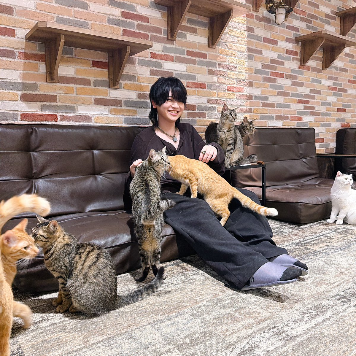 DojimaNight's tweet photo. #堂島ナイト 第44回
#お仕事ダイジェスト
ねこちゃんと仲良くならNight🌙

▼本日限定のハッシュタグ▼
#ありがとう堂島

#堂島颯人 https://t.co/chcPH2POtA