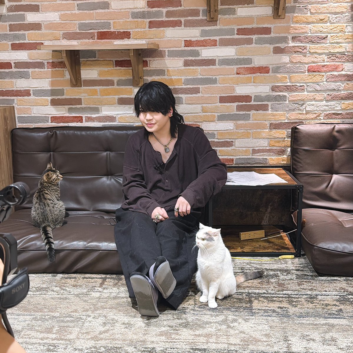 DojimaNight's tweet photo. #堂島ナイト 第44回
#お仕事ダイジェスト
ねこちゃんと仲良くならNight🌙

▼本日限定のハッシュタグ▼
#ありがとう堂島

#堂島颯人 https://t.co/chcPH2POtA