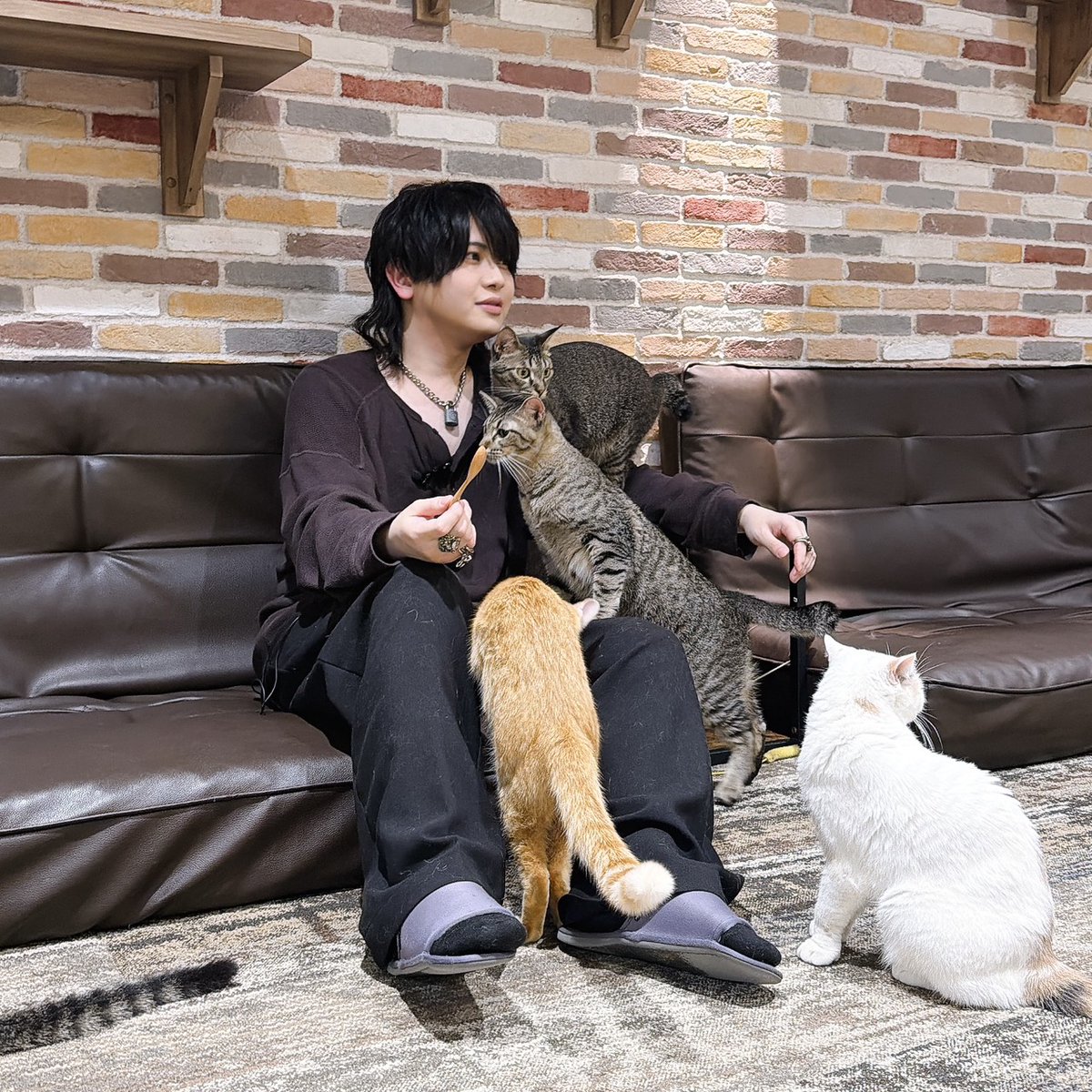 DojimaNight's tweet photo. #堂島ナイト 第44回
#お仕事ダイジェスト
ねこちゃんと仲良くならNight🌙

▼本日限定のハッシュタグ▼
#ありがとう堂島

#堂島颯人 https://t.co/chcPH2POtA