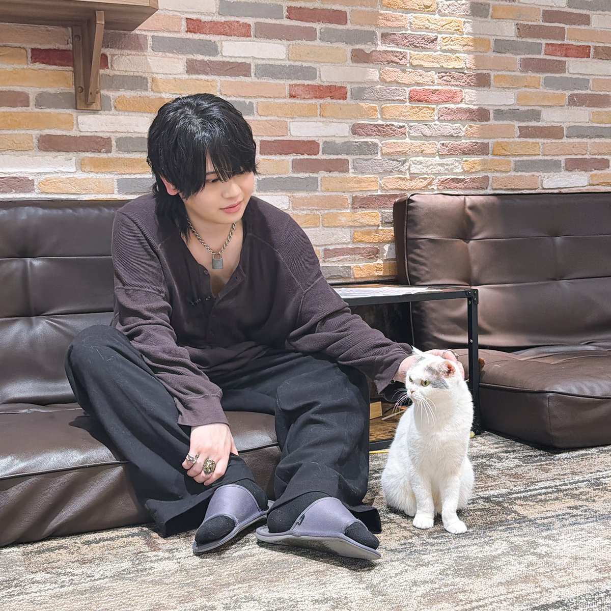 DojimaNight's tweet photo. #堂島ナイト 第44回
#お仕事ダイジェスト
ねこちゃんと仲良くならNight🌙

▼本日限定のハッシュタグ▼
#ありがとう堂島

#堂島颯人 https://t.co/chcPH2POtA