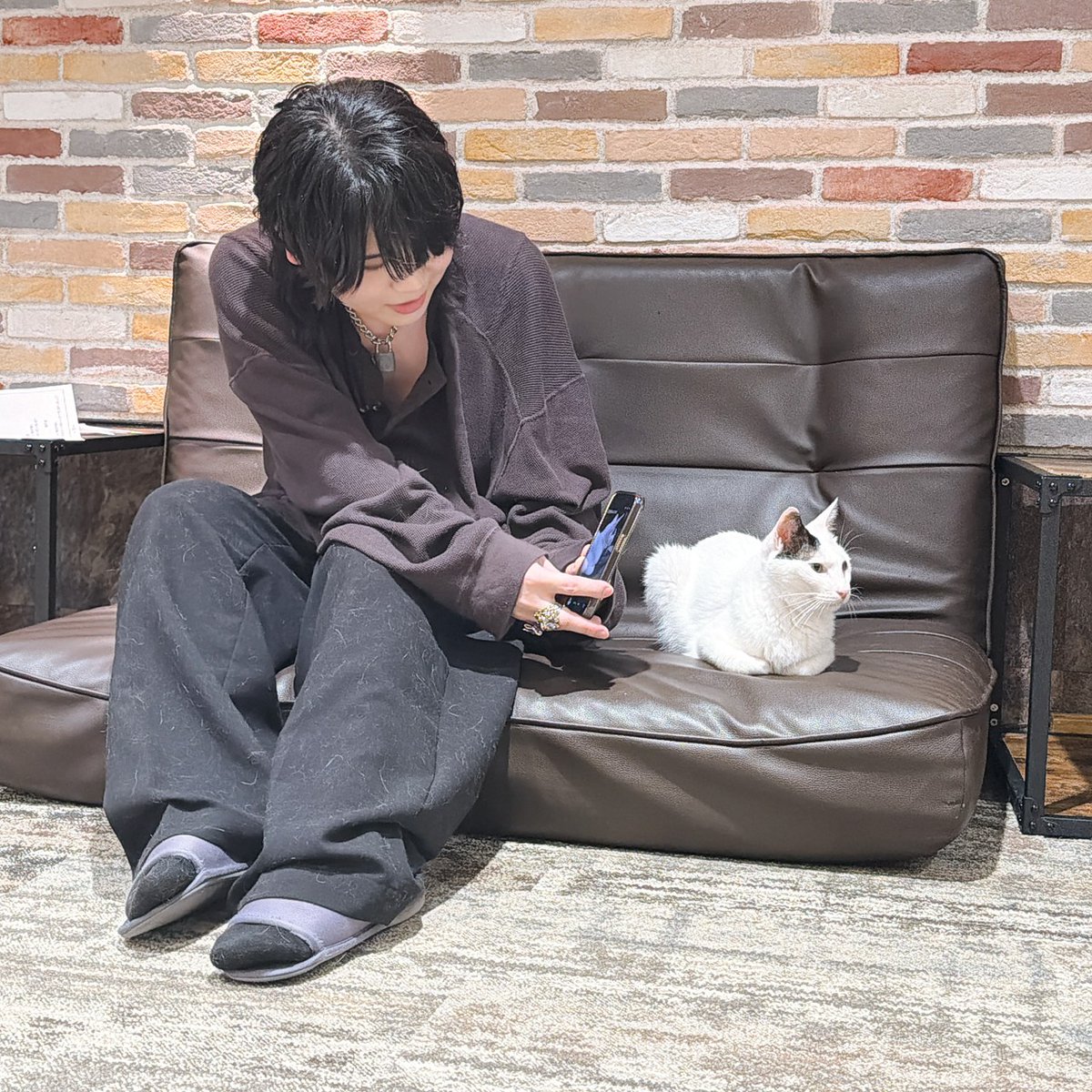 DojimaNight's tweet photo. #堂島ナイト 第44回
#お仕事ダイジェスト
ねこちゃんと仲良くならNight🌙
タマオは堂島さんの腕の中がお気に入り🐱

▼本日限定のハッシュタグ▼
#ありがとう堂島

#堂島颯人 https://t.co/xHEjbhF1cN