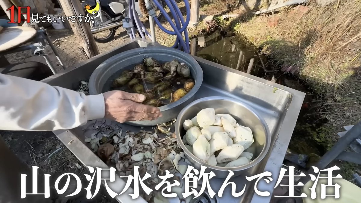 ムッチー (ガッチー&ムッチー) tweet media