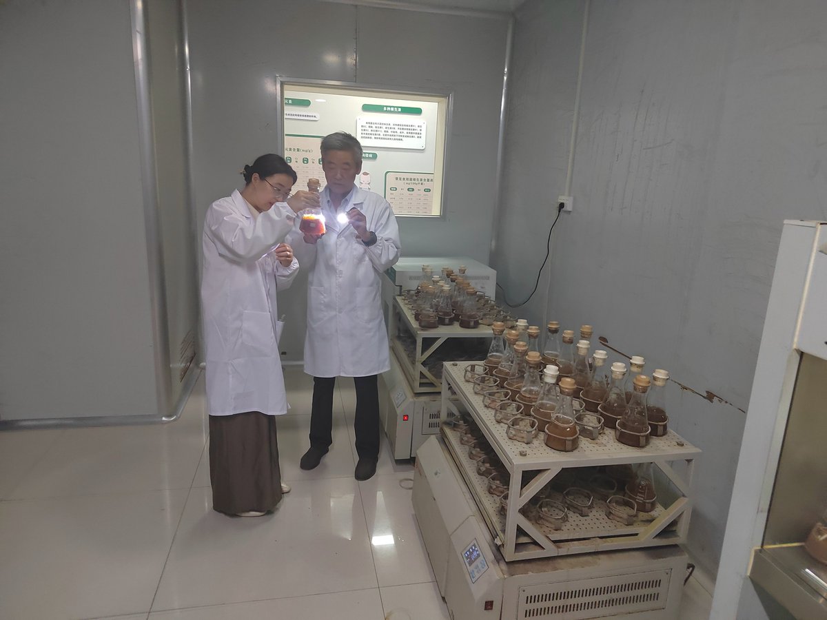 rnxiosh278338's tweet photo. 📍 Xinjiang Aksu, June 15: CGTN Arabic is on the ground! Our team visited the Xinjiang Institute of Technology to spotlight cutting-edge research in black fungus engineering at the School of Food Science and Engineering. 🍄 #Xinjiang #EcoConservation https://t.co/4CAMeovldC