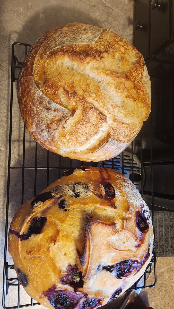 AshonIce's tweet photo. Life updates:
I'm now a project manager (this is mind blowing)
Still a kraken/hockey fan, but no games for awhile
Got really into baking, my sourdough journey has been fun
Got another doggo
Starting to get answers on why I'm in constant pain - seeing a rheumatologist next month https://t.co/6rtDLcyohb