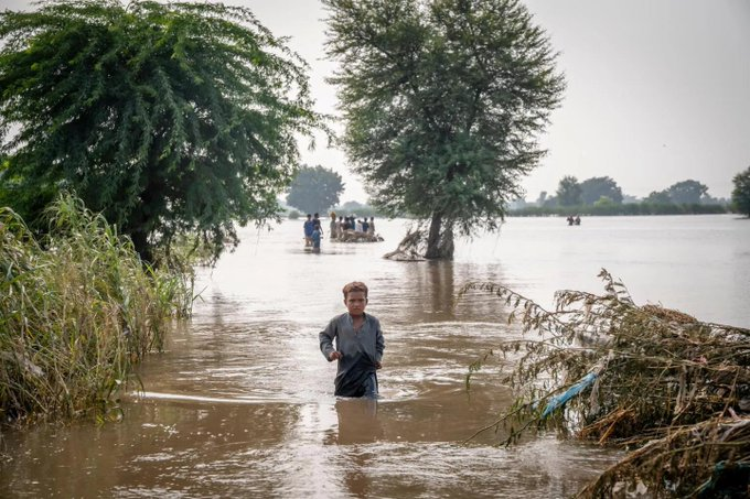 transdocnoticia's tweet photo. #Mundo 🌏

La mitad de la infancia mundial afronta al menos tres amenazas climáticas, según #Unicef
🗣️👉https://t.co/Wu64LiTOWh https://t.co/JToARBJjcN