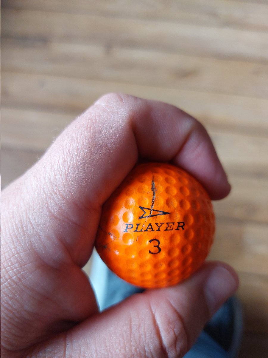 ivy_mckellar's tweet photo. @alexelliottgolf This beauty https://t.co/L5TfanDrg7