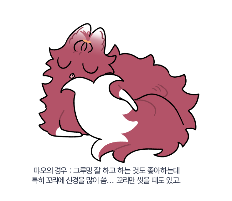 S2_kaosom's tweet photo. 그루밍 트릭스타 편 https://t.co/T6nakdArPm