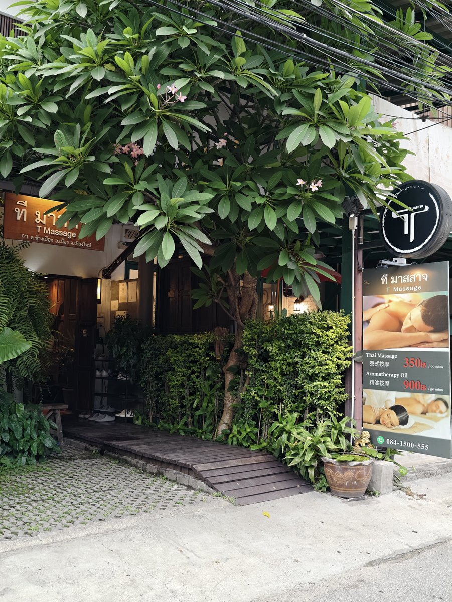 ShunJou's tweet photo. มาเชียงใหม่รอบนี้ กลับมาลองนวดร้าน T Massage อีกครั้ง หลังจากไม่ค่อยได้มา มารอบนี้ชอบหน้าร้านมาก ต้นไม้ร่มรื่นมาก ใครหาร้านนวดที่นวดดีๆ ลองแวะมาแถวสันติธรรมได้ ปีนี้ร้านเปิดครบ 10 ปีแล้ว เป็นร้านในตำนานอีกร้านเลย 😍 https://t.co/r6J1bQwgig