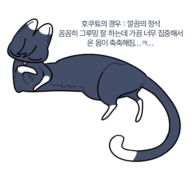 S2_kaosom's tweet photo. 그루밍 트릭스타 편 https://t.co/T6nakdArPm