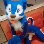 Photo by Blusky Dog🦴 (@pickthefeather)