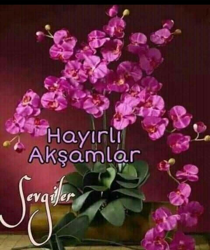 ATAMIN İZİNDEYİM. 🇹🇷🇹🇷🇹🇷 tweet media