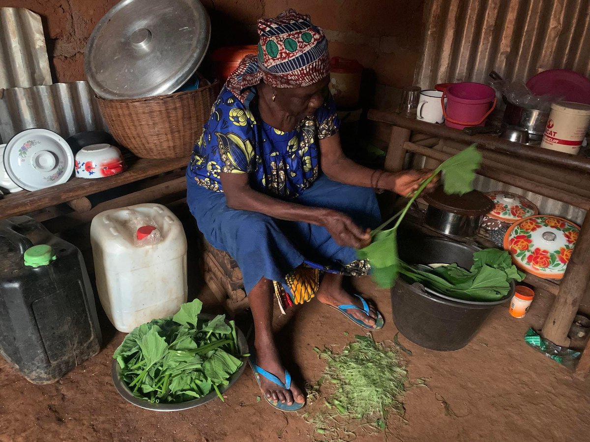 FungomF's tweet photo. Farm quiz: How do you like your pumpkin leaves cooked: with palm oil or with groundnuts? #food #community #highlight

Invest in your rural communities! https://t.co/gD7GCChoXj