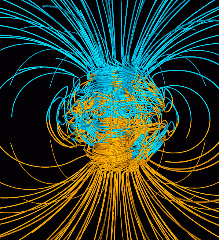 forallcurious's tweet photo. RESEARCH🚨: Birds use special proteins in their eyes to see the Earth's magnetic field and navigate https://t.co/0nCqraoQ9M