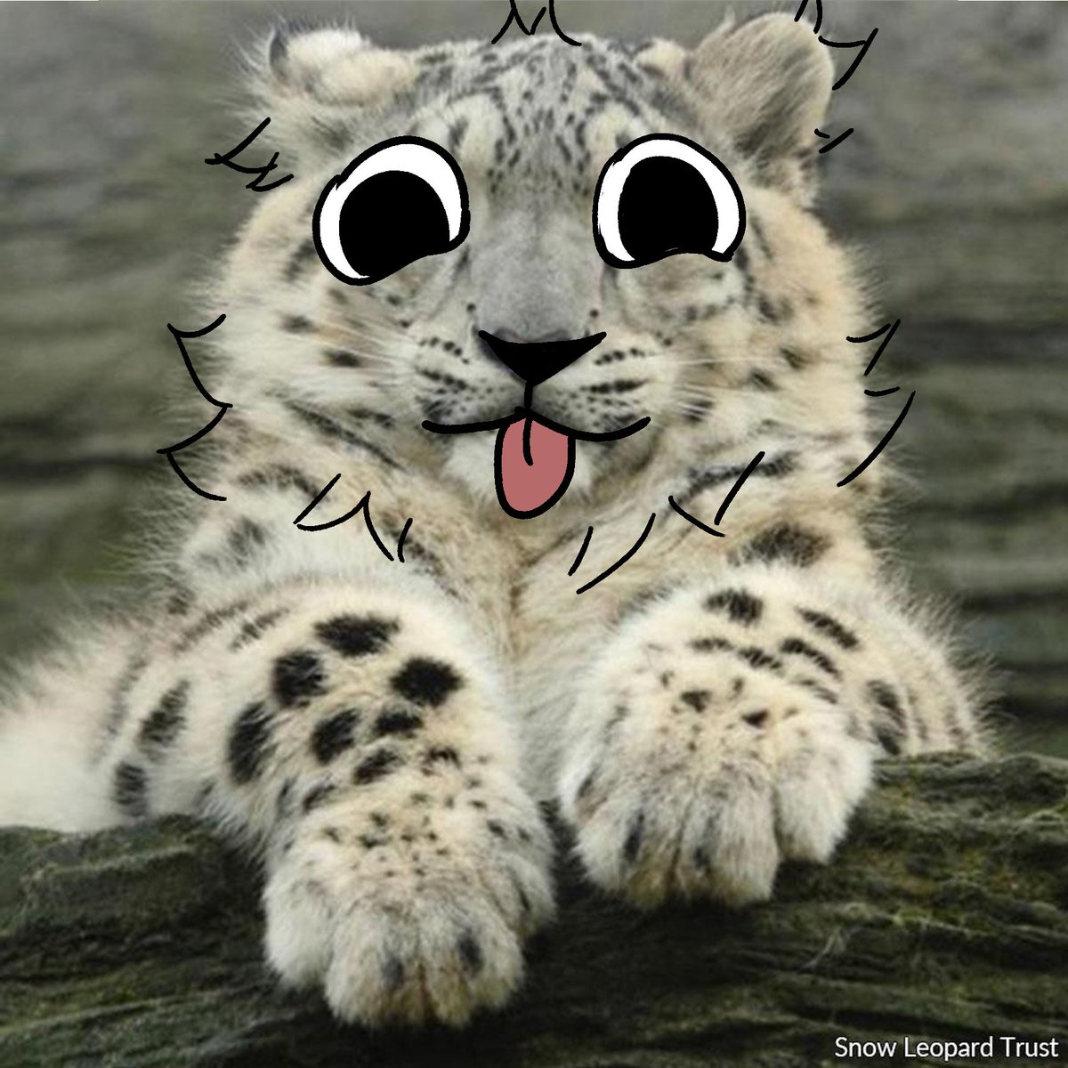 thecatidk's tweet photo. I'm so lazy to draw #art #animals https://t.co/K6Wull7I9f