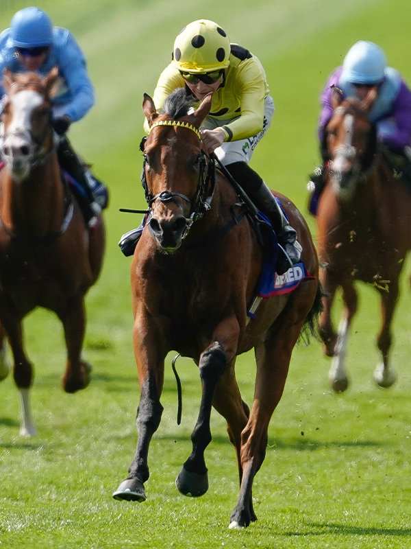 RacingPost's tweet photo. BOW ECHO WINS THE ST JAMES'S PALACE STAKES 🎉 https://t.co/DRkWKKeubE