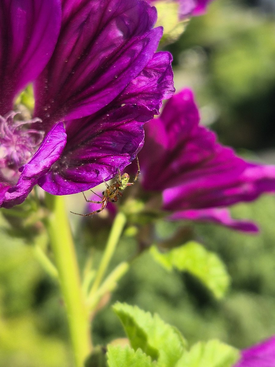 BaskiBloom tweet picture