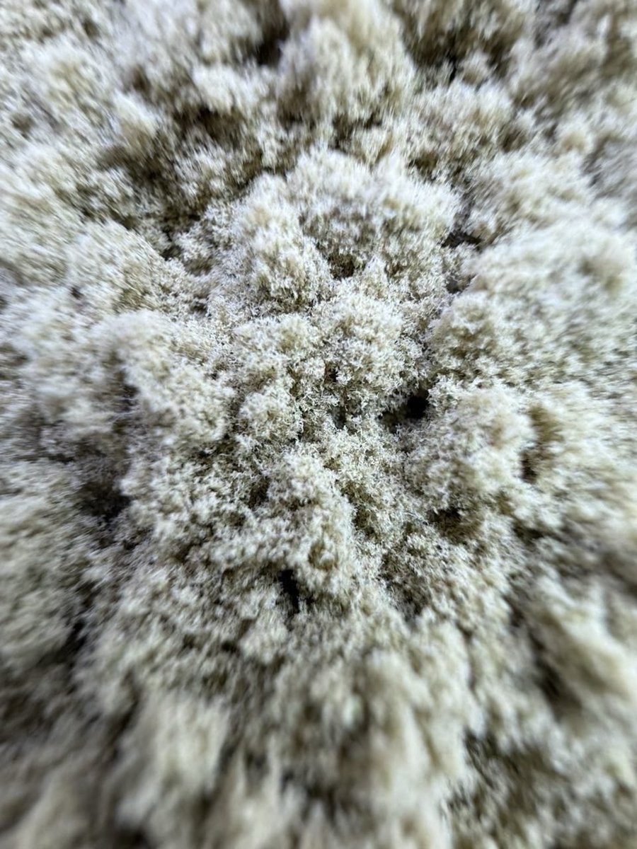Ecobox448's tweet photo. Dry sift 

400 a unit 

Intown/bulk 300

https://t.co/inMgBTdUU7 https://t.co/LgD6USfeKD
