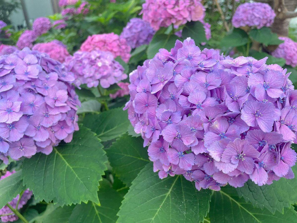 GAIA_supporting's tweet photo. そういや週末高輪のNEWoMan行ったけど良かった https://t.co/5ehwtAJYJa