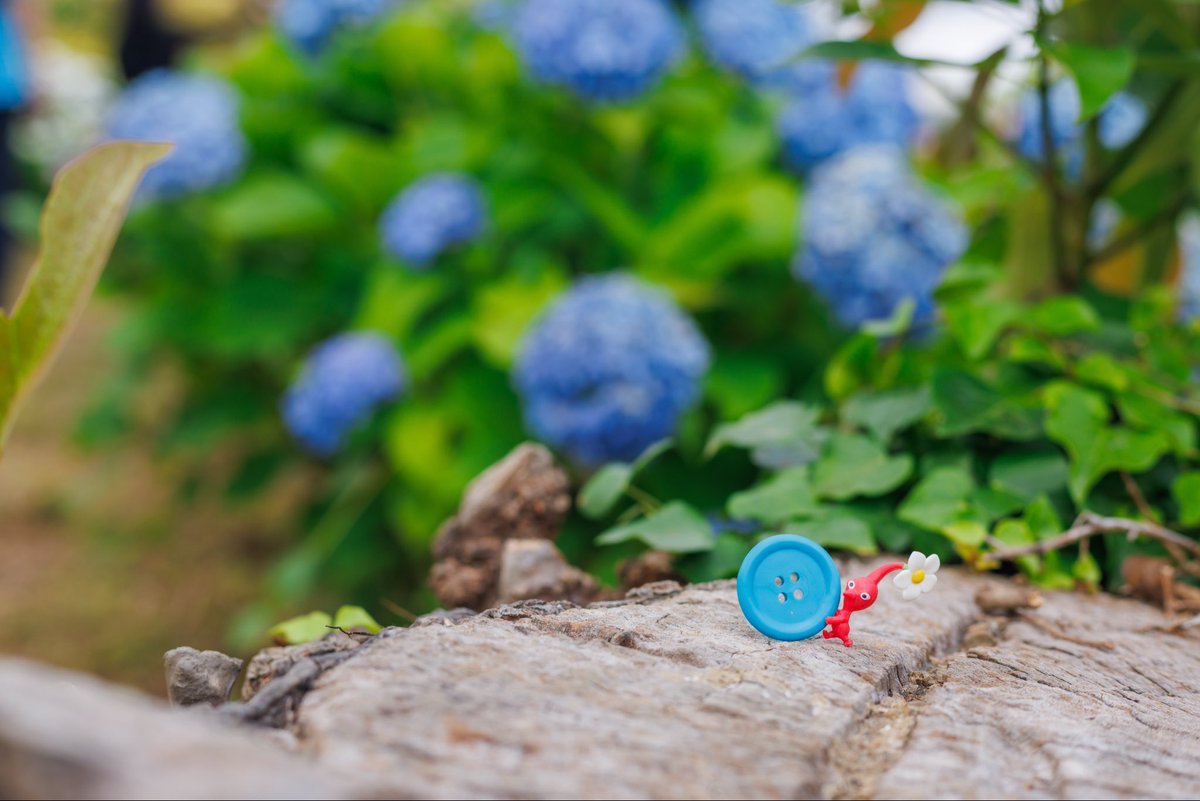 icccko226's tweet photo. 🔵 #pikmin #Nintendo #ピクミン https://t.co/ix3Mf8yOUc