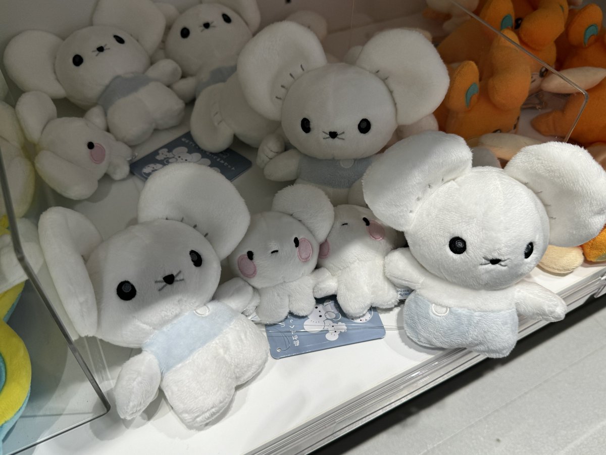 riceballmaker's tweet photo. 원래 이렇게 파밀리쥐로 팔던건데!! 혹시 이 이미지로 검색해보실래요?! 저 쪼꼬미로만 찾으시면 아마 안 나올듯..🥹 https://t.co/ceLsoFwoMr