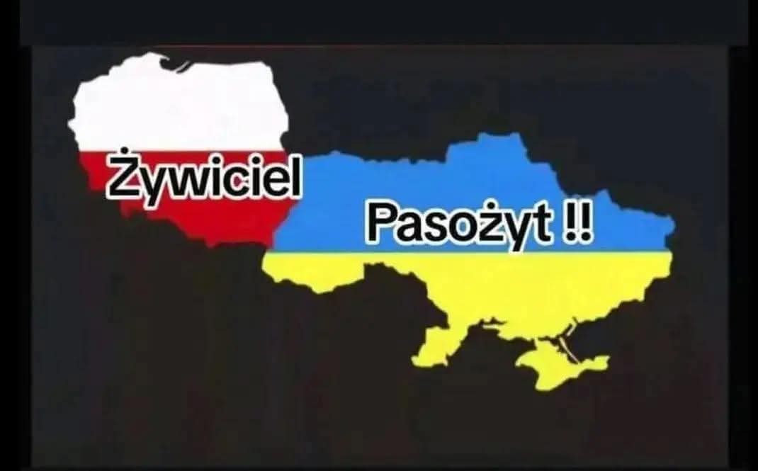 Maciej Talarczyk 🇵🇱 tweet media