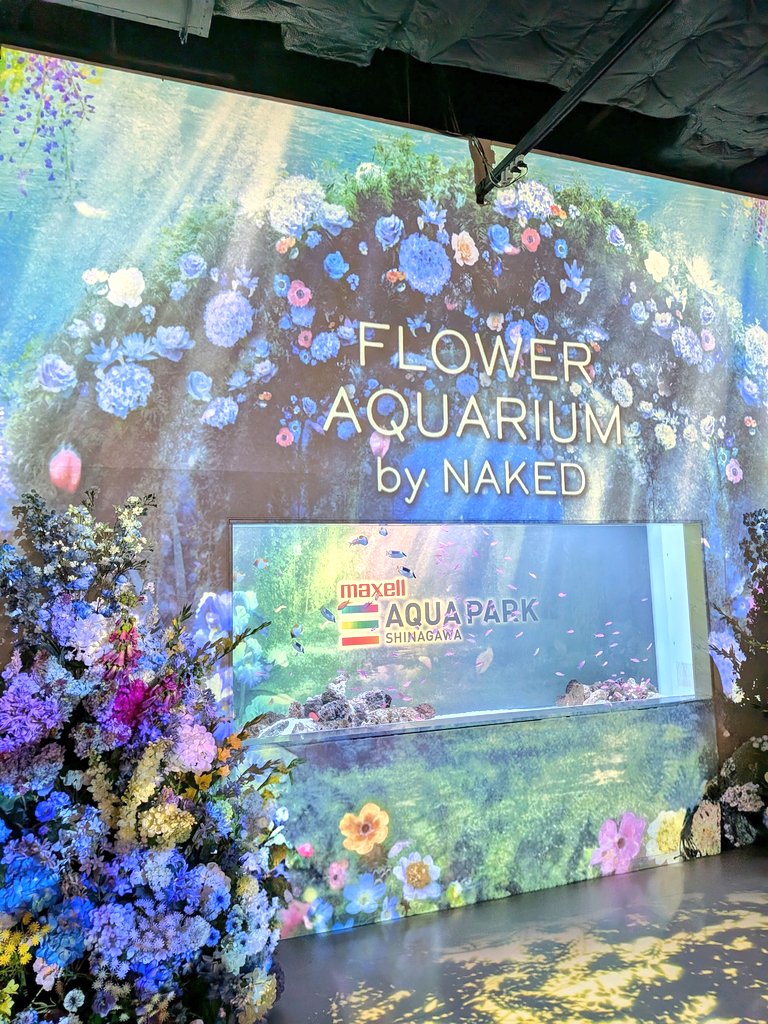 saba_tomo's tweet photo. フラワーアクアリウムが開催中、アクアパーク品川へ行ってきましたー🌹🐠🌷
初めて行ったのですが、水族館って楽Cですね！都会でイルカショーやペンギンの散歩が見られるとは…癒されました！！
平日だと混雑もなくスムーズに回れるのでおすすめ。イルカショーも最前でびしょ濡れ上等になれます(笑) https://t.co/a2kMPf7DQD