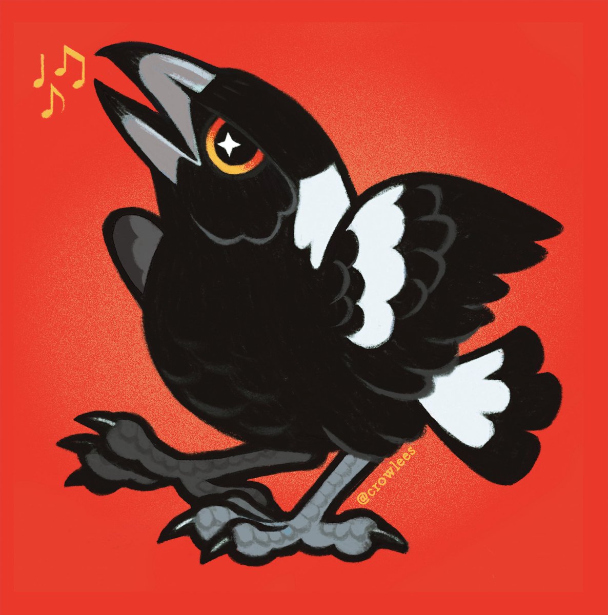 crowlees's tweet photo. Australian Magpie, national icons https://t.co/bOaoUwDzYA