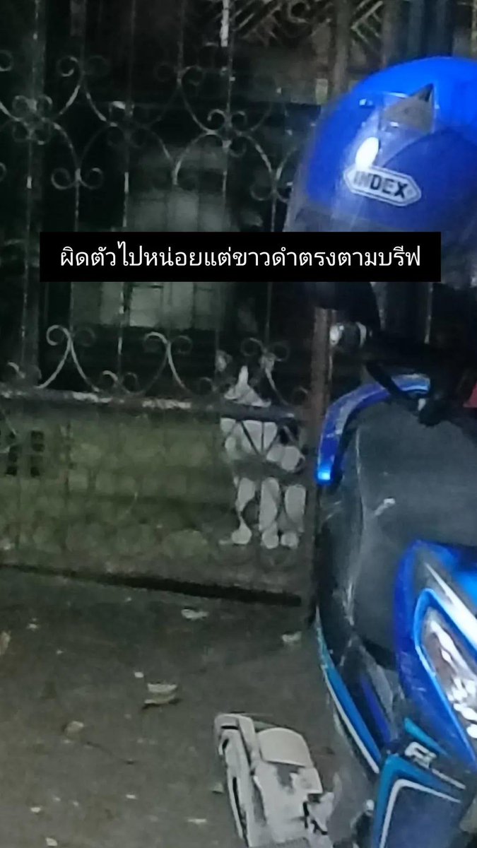swrssa8's tweet photo. เพื่อนๆหลายคนแนะนำให้เราไปบอกแมวจร  เราทำแล้วค่ะ บอกไปเป๊ะๆว่า รบกวนได้ไหม มีแมวขาวดำลายวัวหาย ชื่อพี่เตงเตล อายุ 5-6 ขวบ หางพี่เขาจะกุดหน่อยๆ มีไฝ ตาสีเขียว นี่คือสิ่งทีเราได้ในวันถัดมาค่ะ..... https://t.co/14ZkCOrPMm