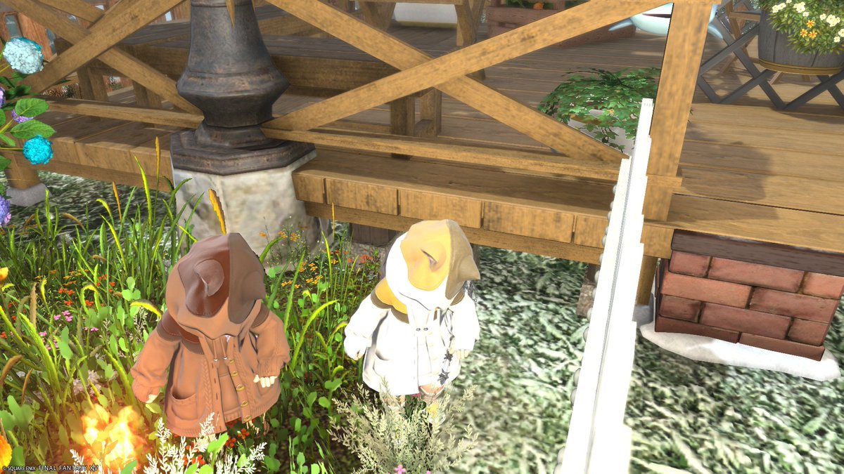 Man00Tako's tweet photo. エモハラ突撃５人目！
またもやコス合わせてくれたｗｗ
#ララフェル https://t.co/5fM3HZIIGH
