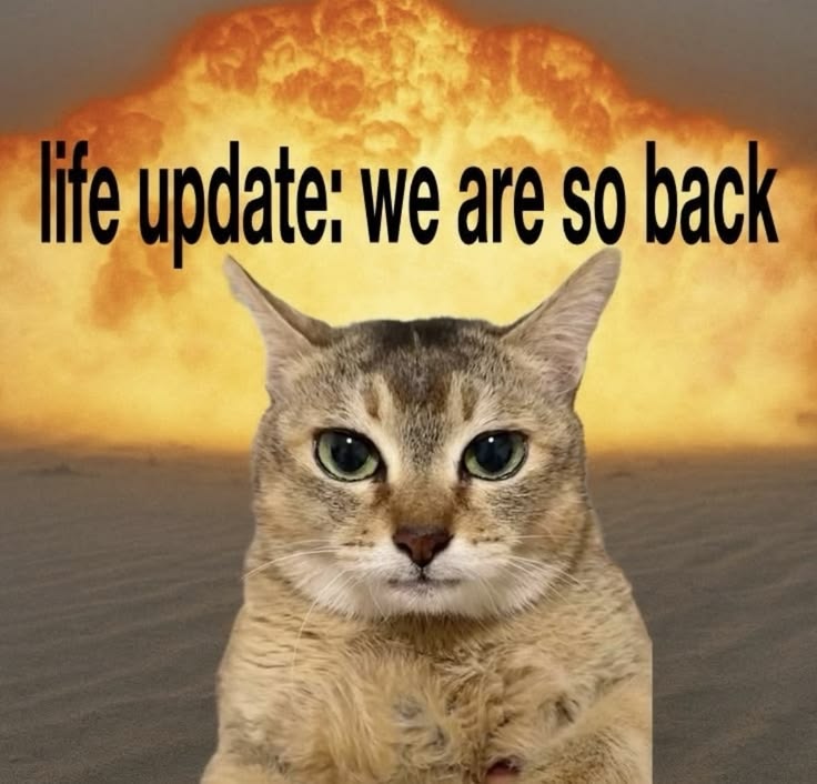 cookieoncoffee tweet picture