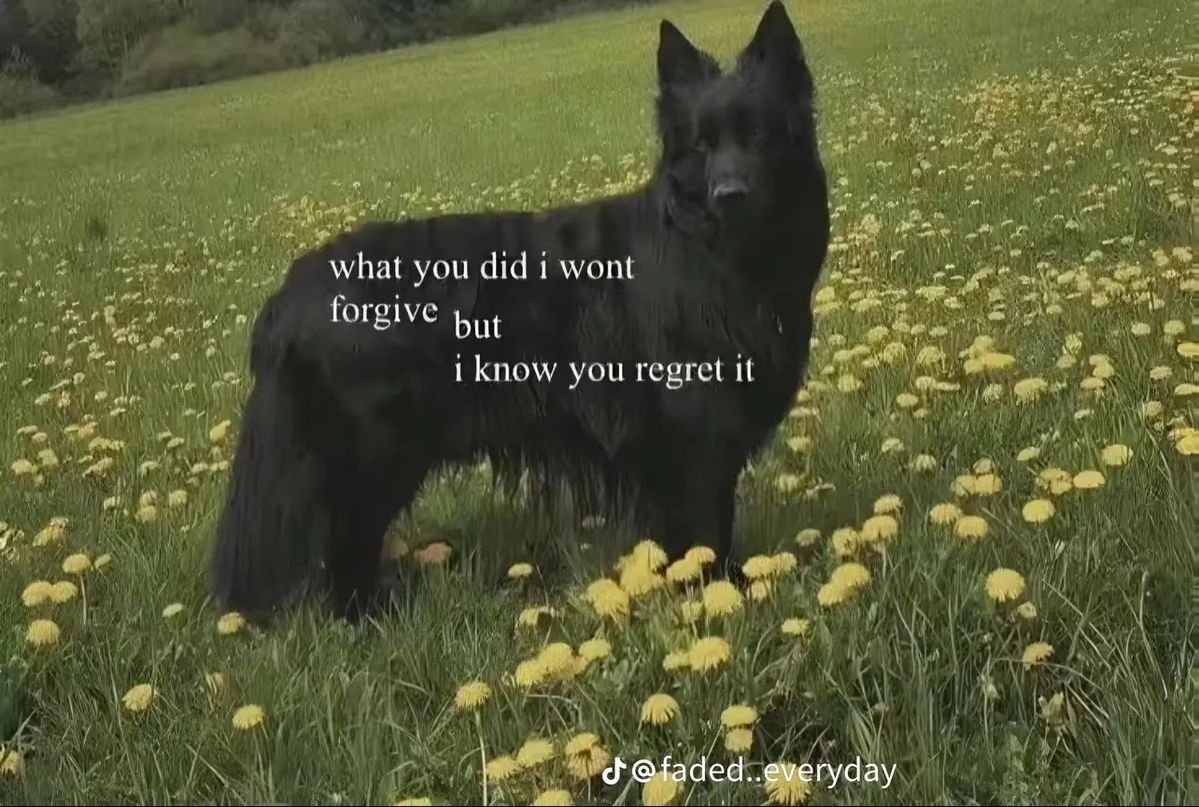 DoggyPosting's tweet photo. https://t.co/JjJNHyGCMc
