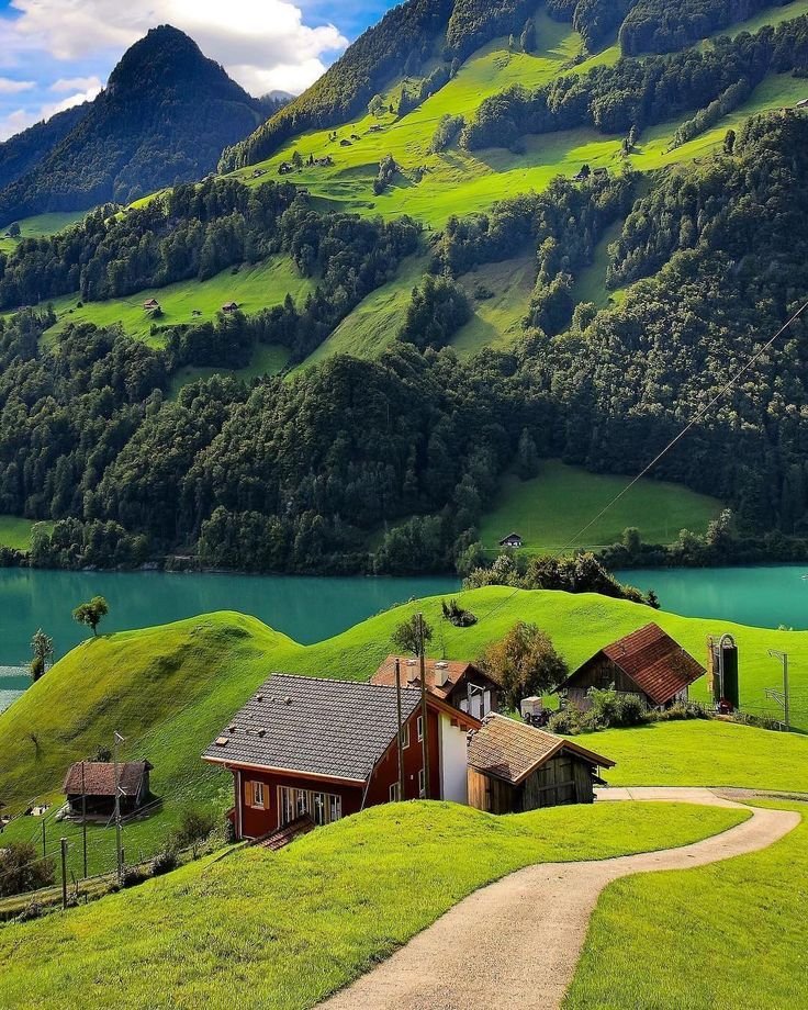 oceannvibe's tweet photo. 🇨🇭 https://t.co/ym5VPTOrUz