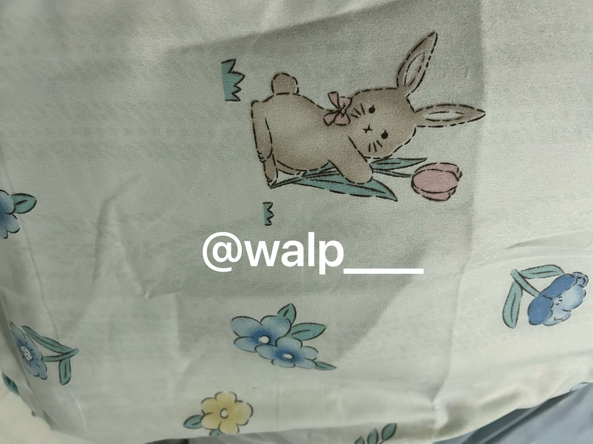 walp___'s tweet photo. @muimuitj เราใช้ผ้าปูที่นอนของร้านนี้อยู่ ลายน่ารักหลายลายเลย ตรงปกเลยงับ แนะนำ ๆ 👍 
https://t.co/bY1rVbK2wZ https://t.co/bjKHJRxY6X