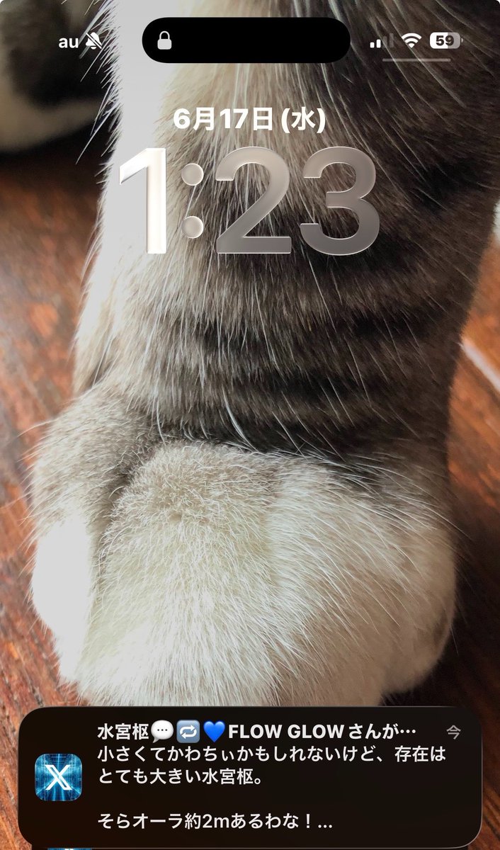 false24's tweet photo. 通知っ！ https://t.co/DFz0RRKHw4