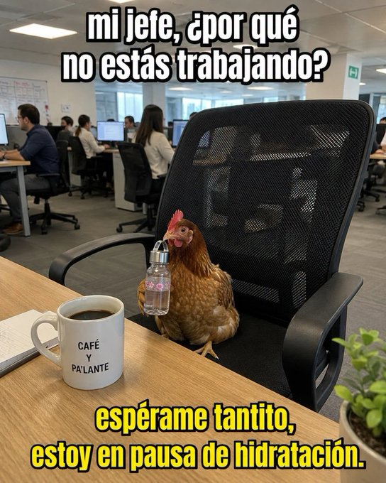 manuel_alamilla's tweet photo. 😉😉😉 https://t.co/Aaoea7TPO8